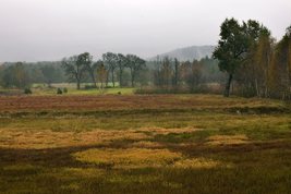 Parki i ogrody ziemi wieluńskiej - Załęczański Park Krajobrazowy - jeden z najpiękniejszych parków w Polsce, bo otulający zakole Warty - Fot. Krzysztof Gara